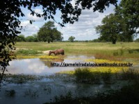 /album/galeria-de-fotos-belas-images/slide1-jpg3/