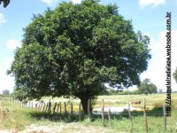 /album/galeria-de-fotos-belas-images/slide6-jpg3/